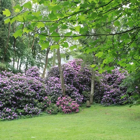 Apartment Brodthage, App. 1 *