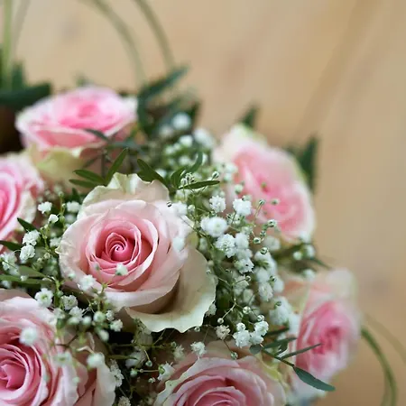 Apartment Brodthage, App. 1 Walkenried