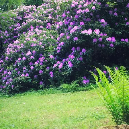 Brodthage, App. 1 Walkenried