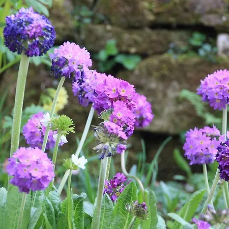 Apartment Brodthage, App. 1