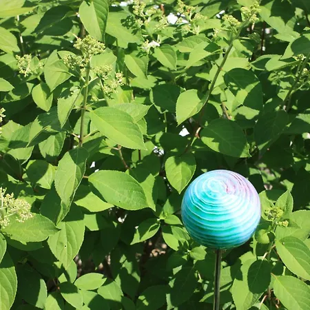 Brodthage, App. 1 Walkenried