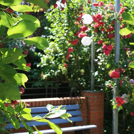 Brodthage, App. 1 * Walkenried