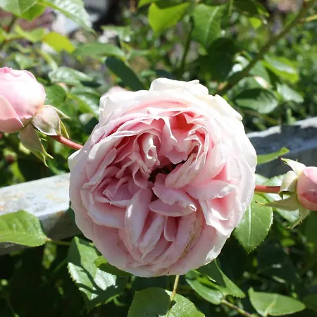 Apartment Brodthage, App. 1 *