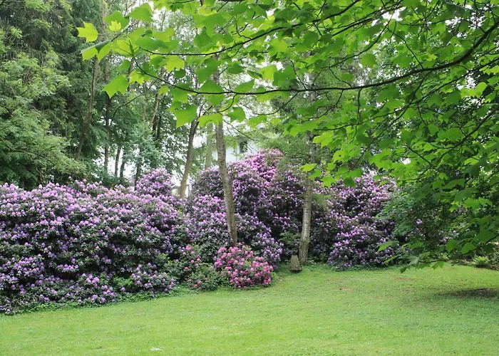 Διαμέρισμα Brodthage, App. 1 *