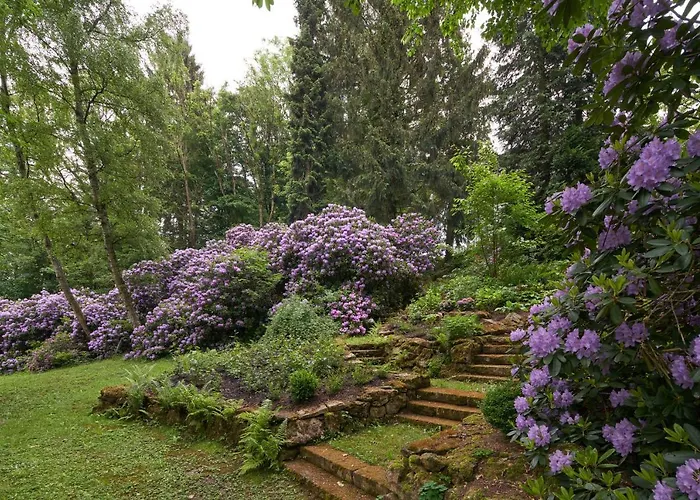 Brodthage, App. 1 Διαμέρισμα