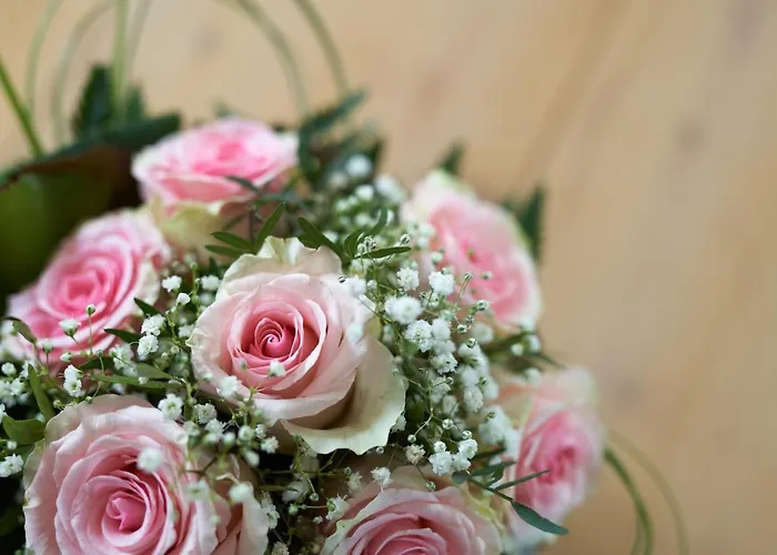 Διαμέρισμα Brodthage, App. 1 Walkenried