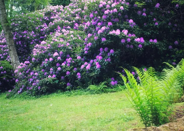 Brodthage, App. 1 Walkenried