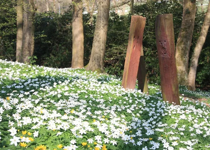 Brodthage, App. 1 Διαμέρισμα