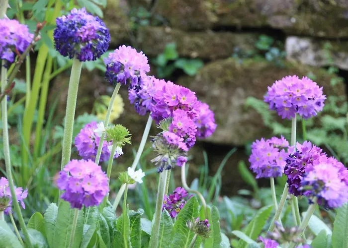 Διαμέρισμα Brodthage, App. 1