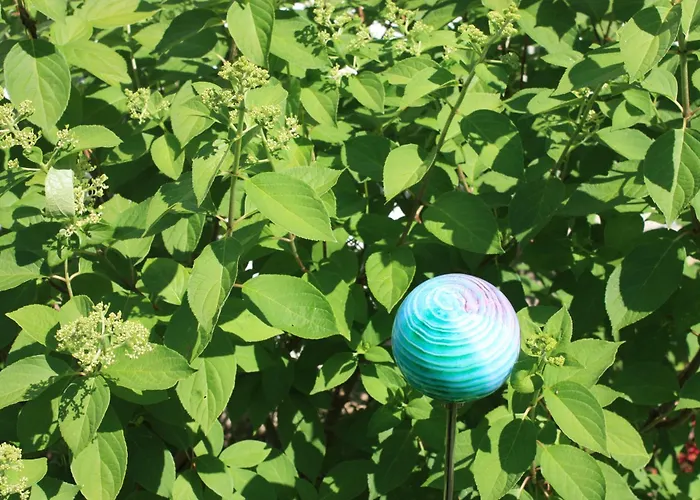 Brodthage, App. 1 Walkenried