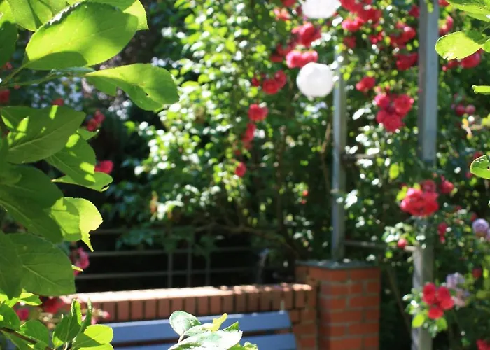 Brodthage, App. 1 * Walkenried